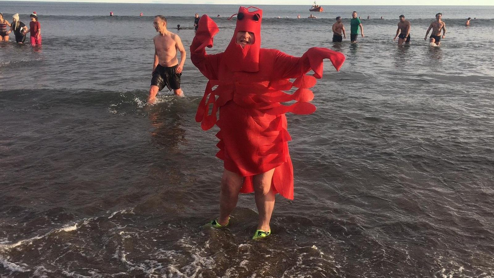 A cold looking dipper with their arms outstretched in the water wearing a long red lobster costume. 