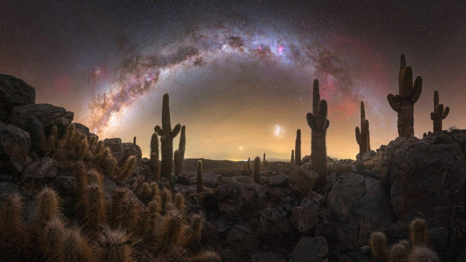 The Milky Way above a desert full of cacti.