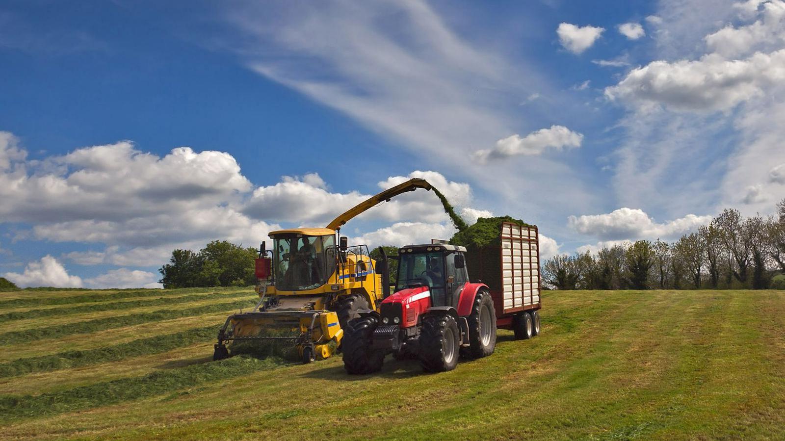 A yellow self propelled forage harvester driving through a field lifting swaths of grass silage and depositing it into a trailer being towed by a red tractor. In the the background at the edge of the field there are some trees. Above a blue sky with a few clouds.