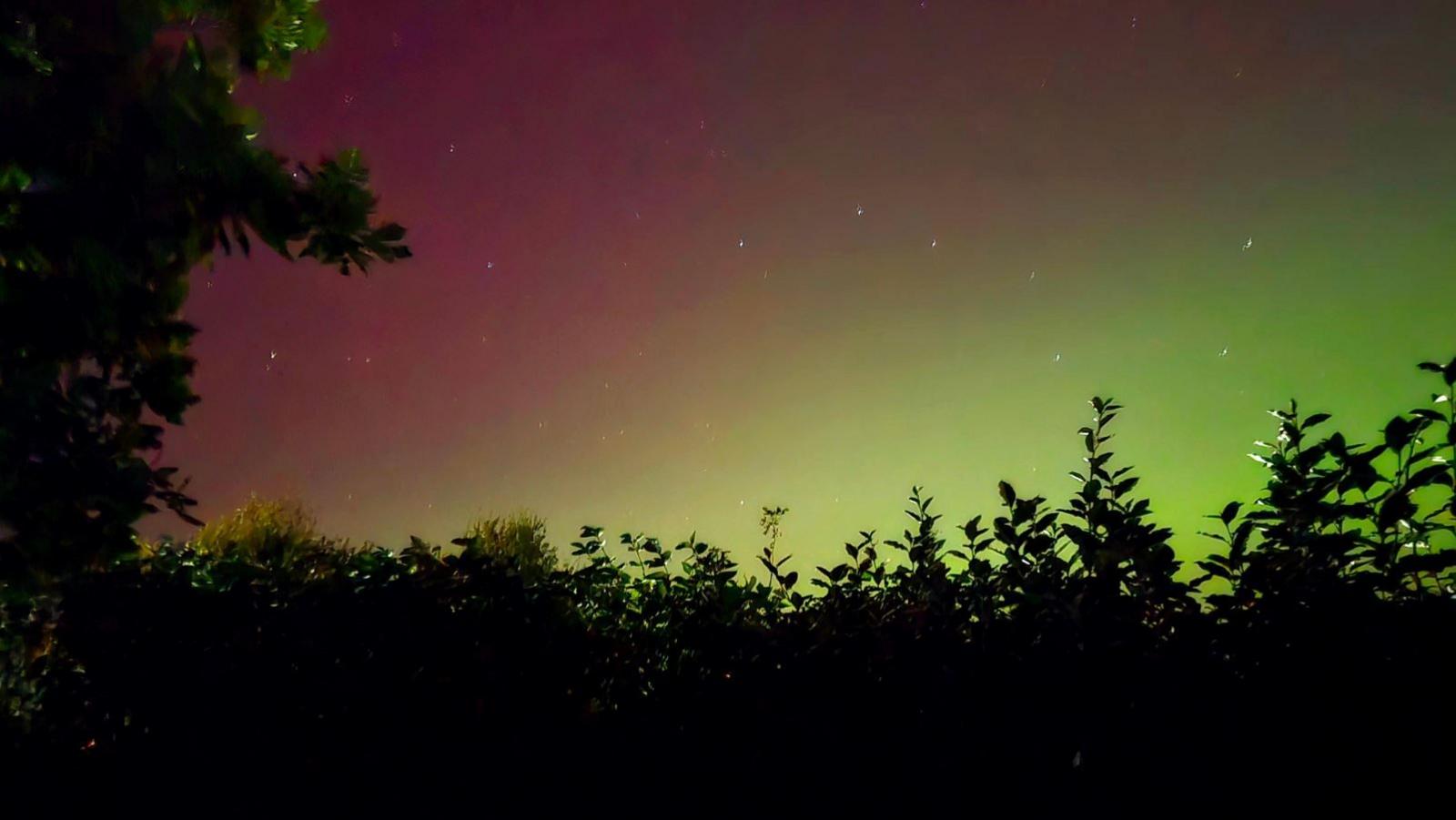 Shadowed bushes creating a border for a green and red Northern lights lit sky, with a few stars.