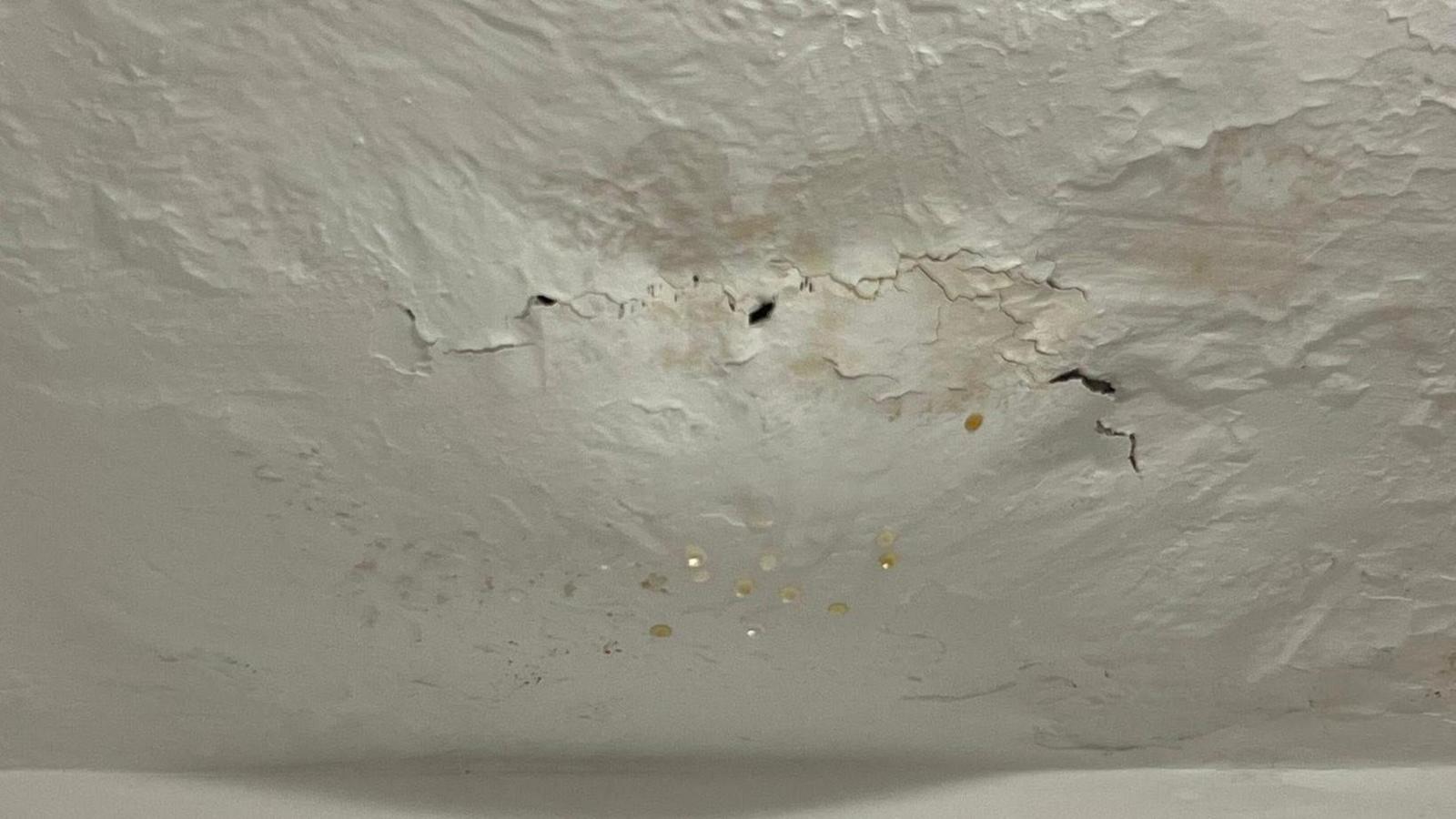 A pale wall that's cracking with some slightly yellowish droplets coming from the gaps.