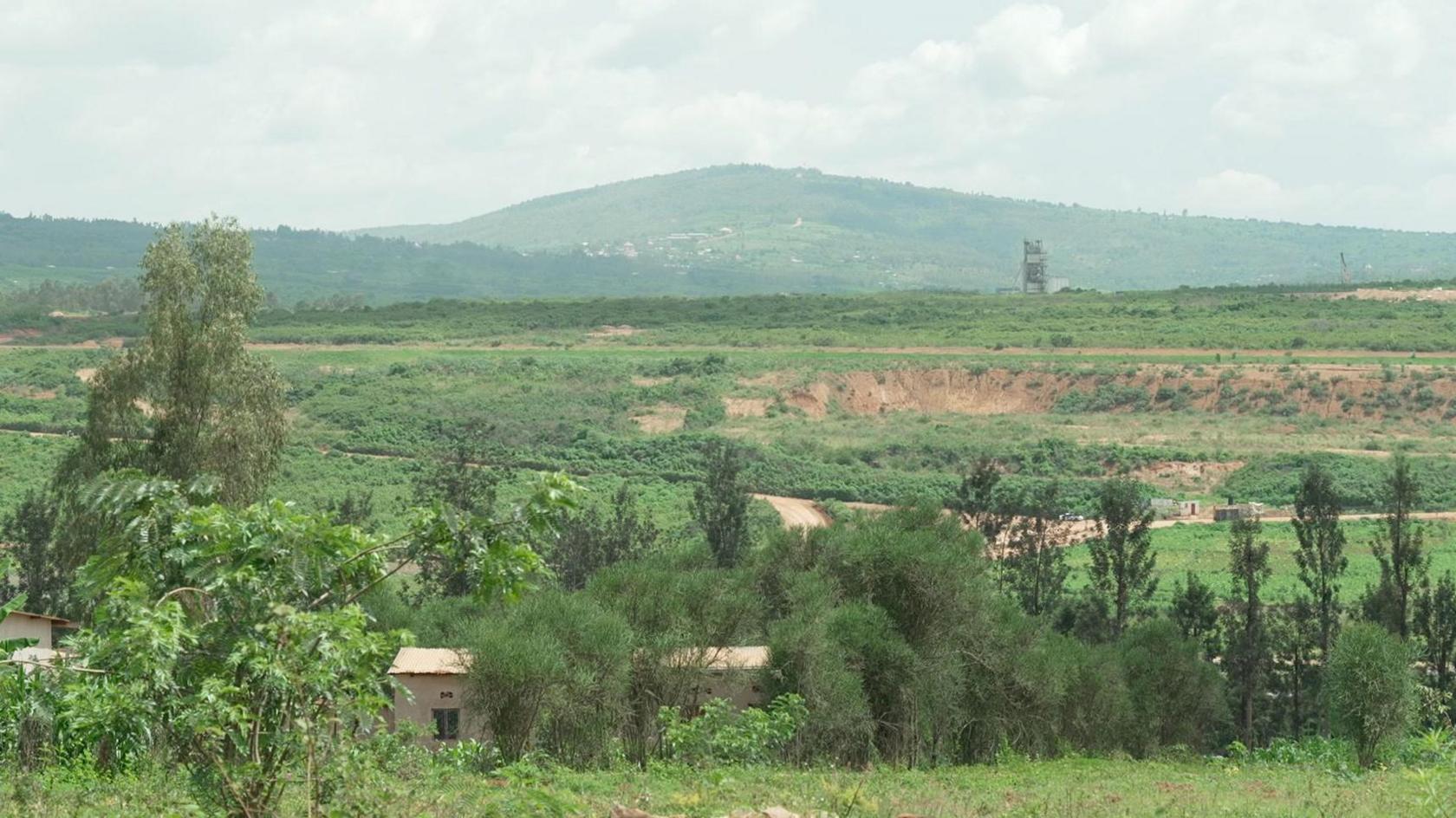 A view of countryside in Rwanda, with trees in the foreground and green fields stretching towards a hill in the background