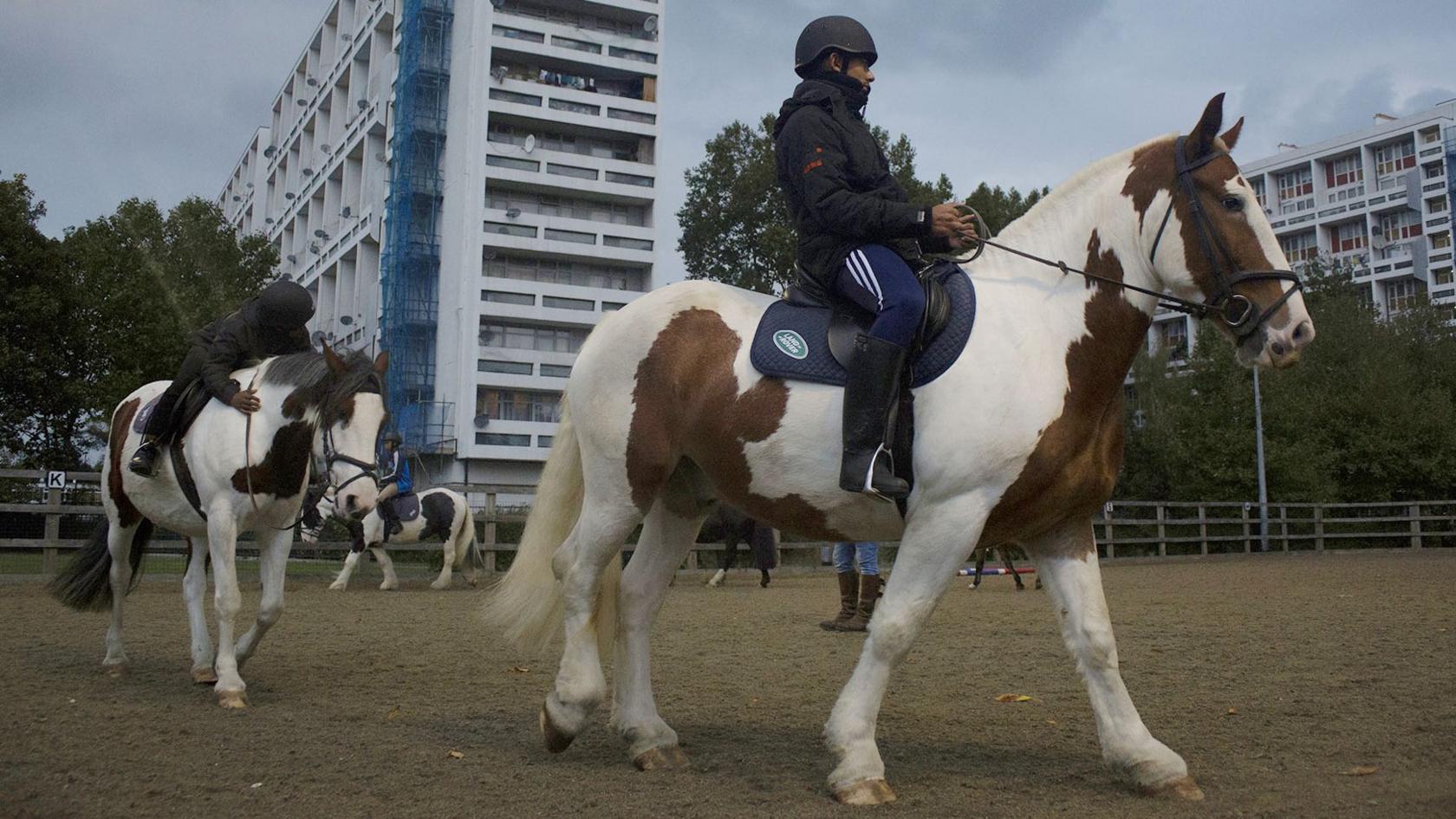 Horse riding lesson