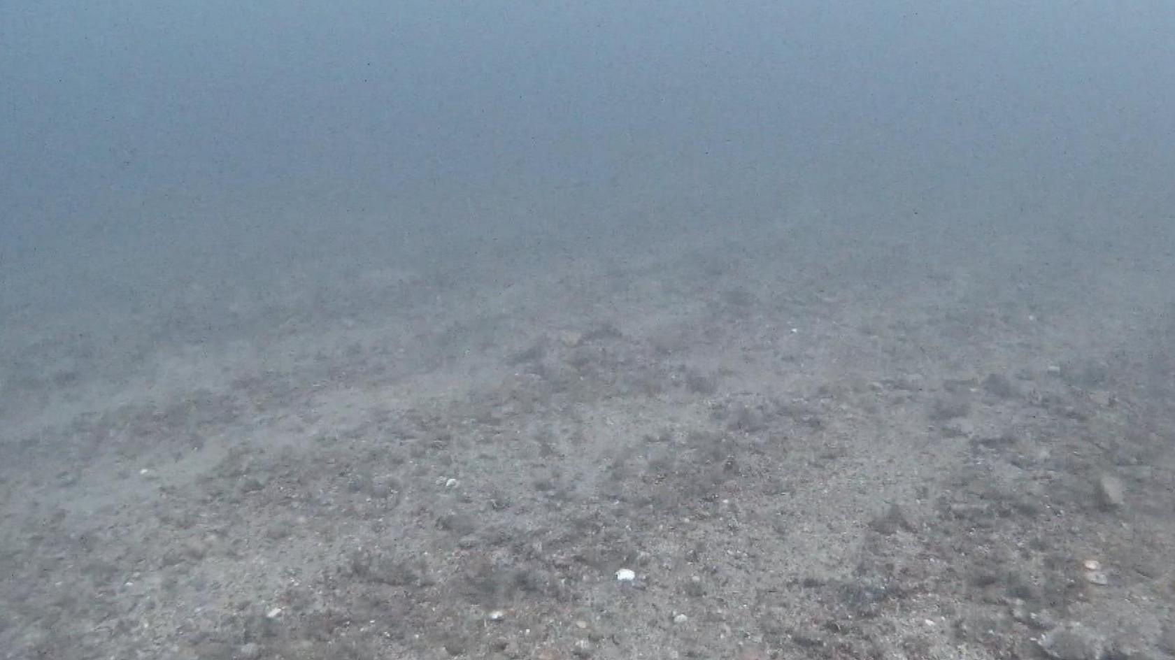 Under-water footage of the same area of sea bed with no plant life. There are tracks along the grey gravel.