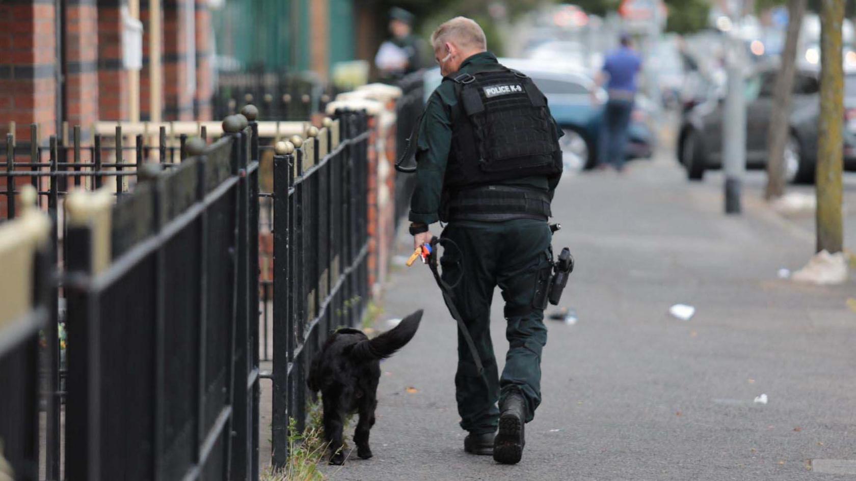 A policeman walks with a black police dog along a row of houses in north Belfast. The dog is sniffing along black iron fences.