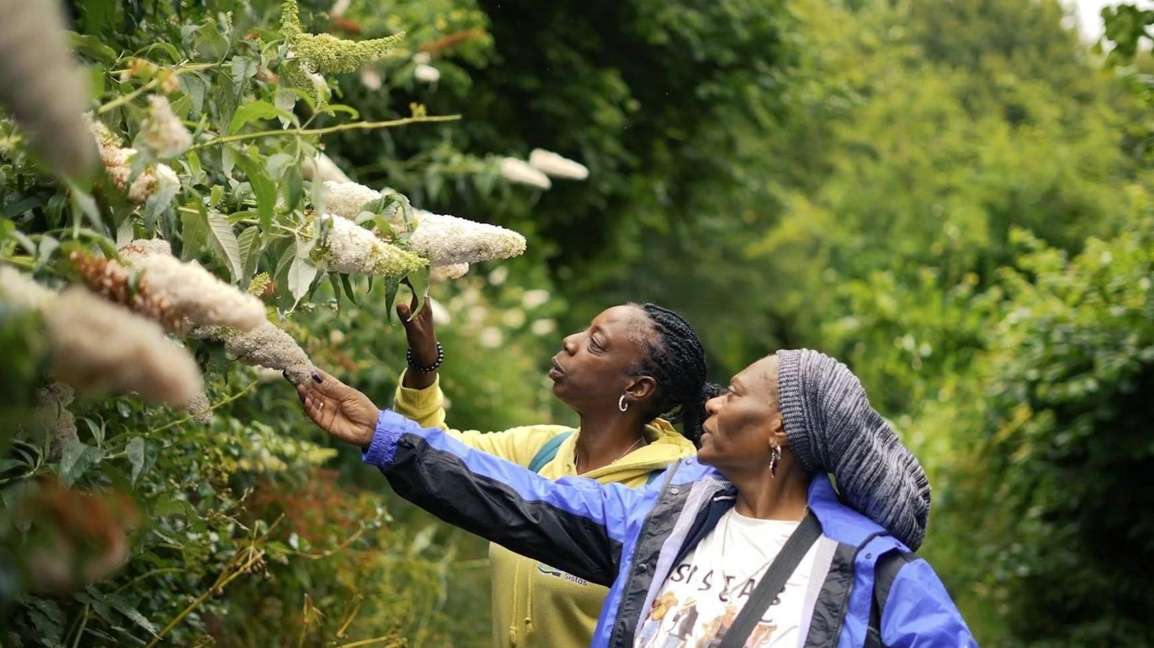 Two women reaching out to touch some white buddleia blooms growing at the side of a walking path. One is wearing a yellow hoodie and the other is wearing a white Sistas t-shirt with and a blue rain jacket.