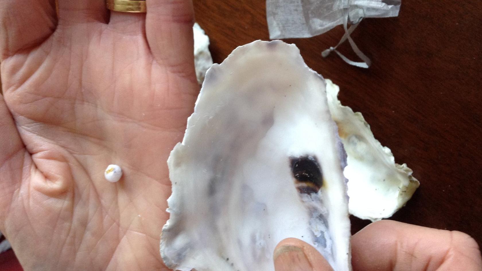 Oyster and pearl in hand