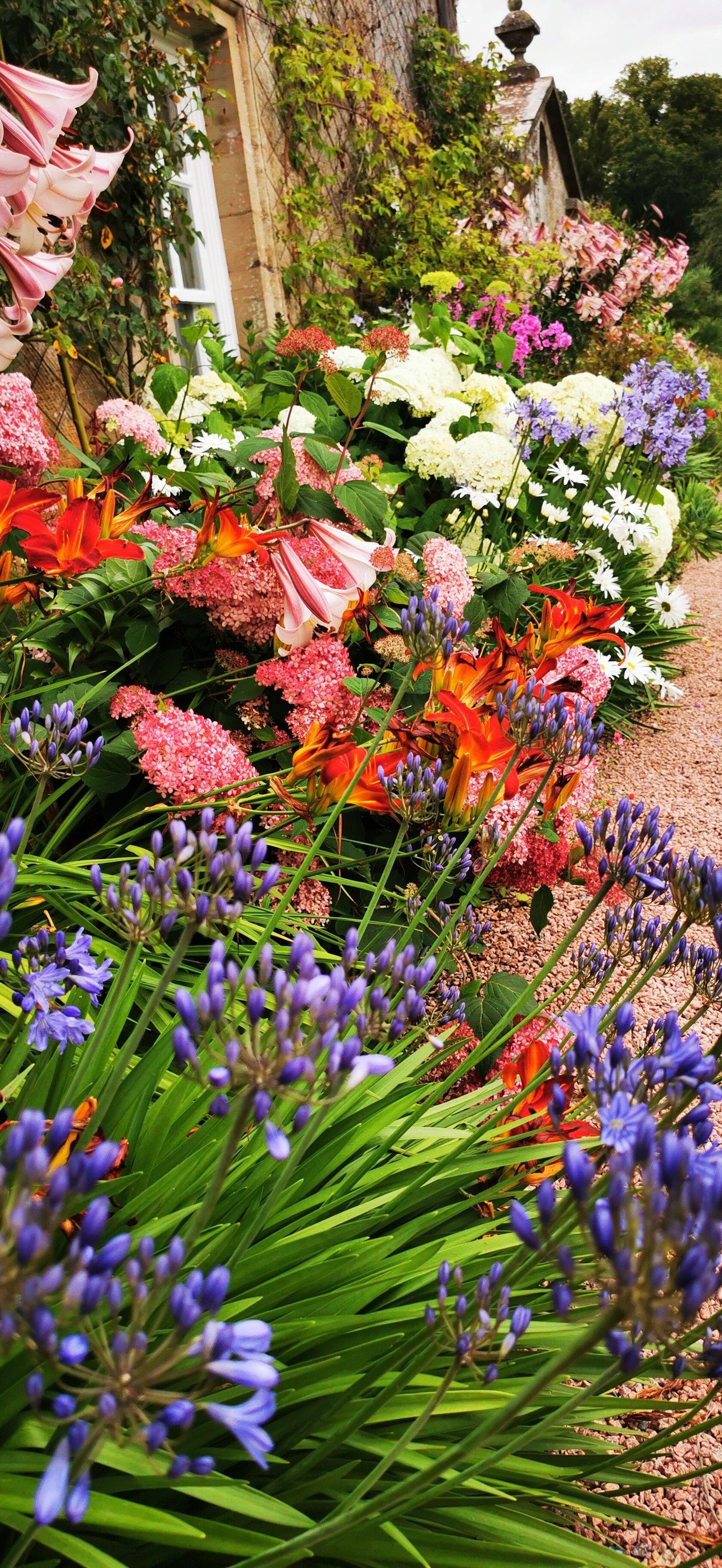A selection of brightly coloured flowers outside a small cottage style house