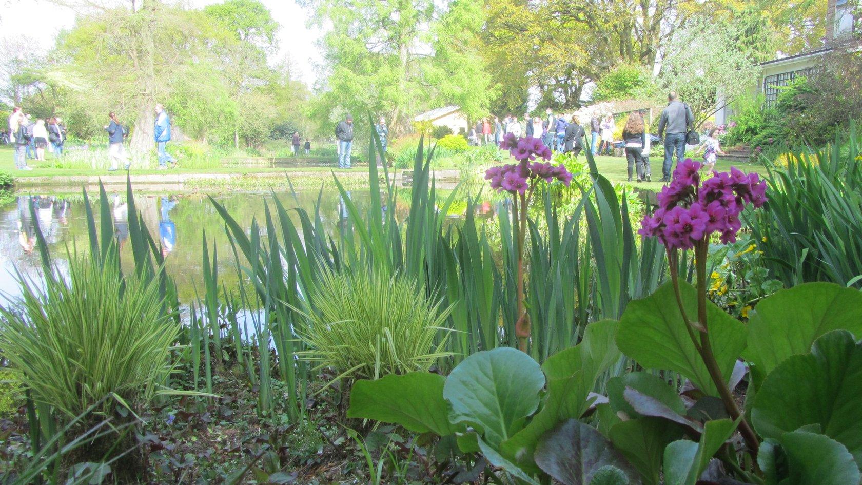 Ponds at The Beth Chatto Gardens