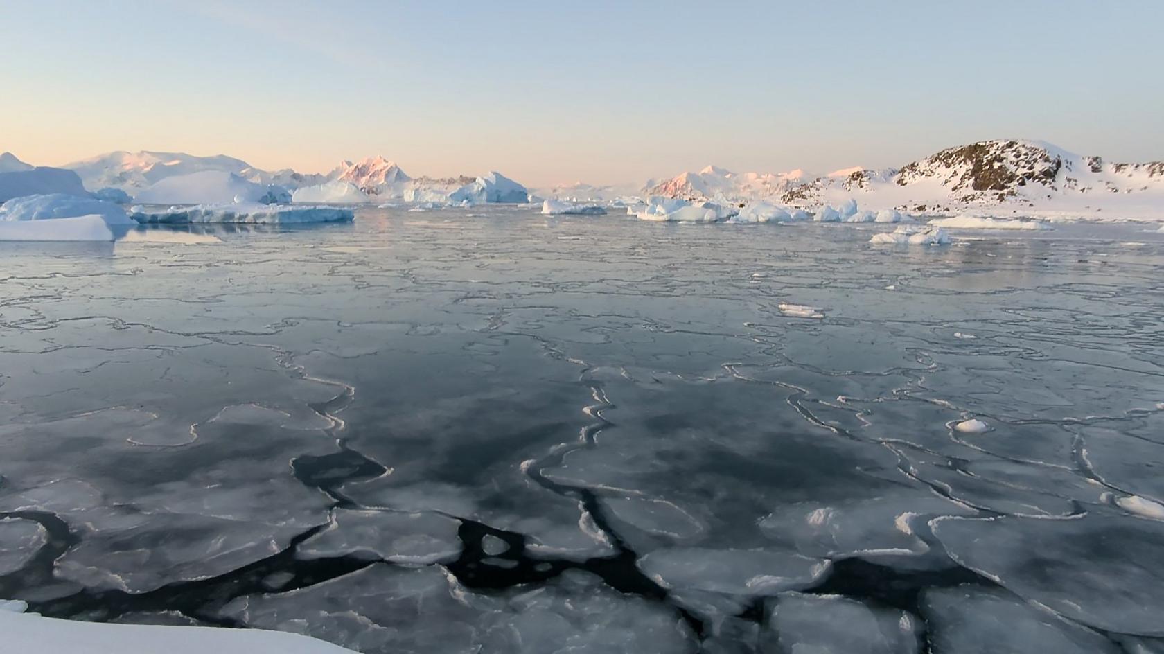 Very thin sea-ice in the foreground - this is a type of sea-ice called "nilas" that forms in very low wind conditions