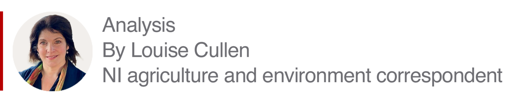 Analysis box by Louise Cullen, NI agriculture and environment correspondent