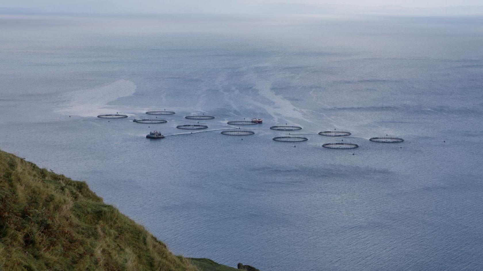 salmon farm rings in ocean off coast of Isle of Skye