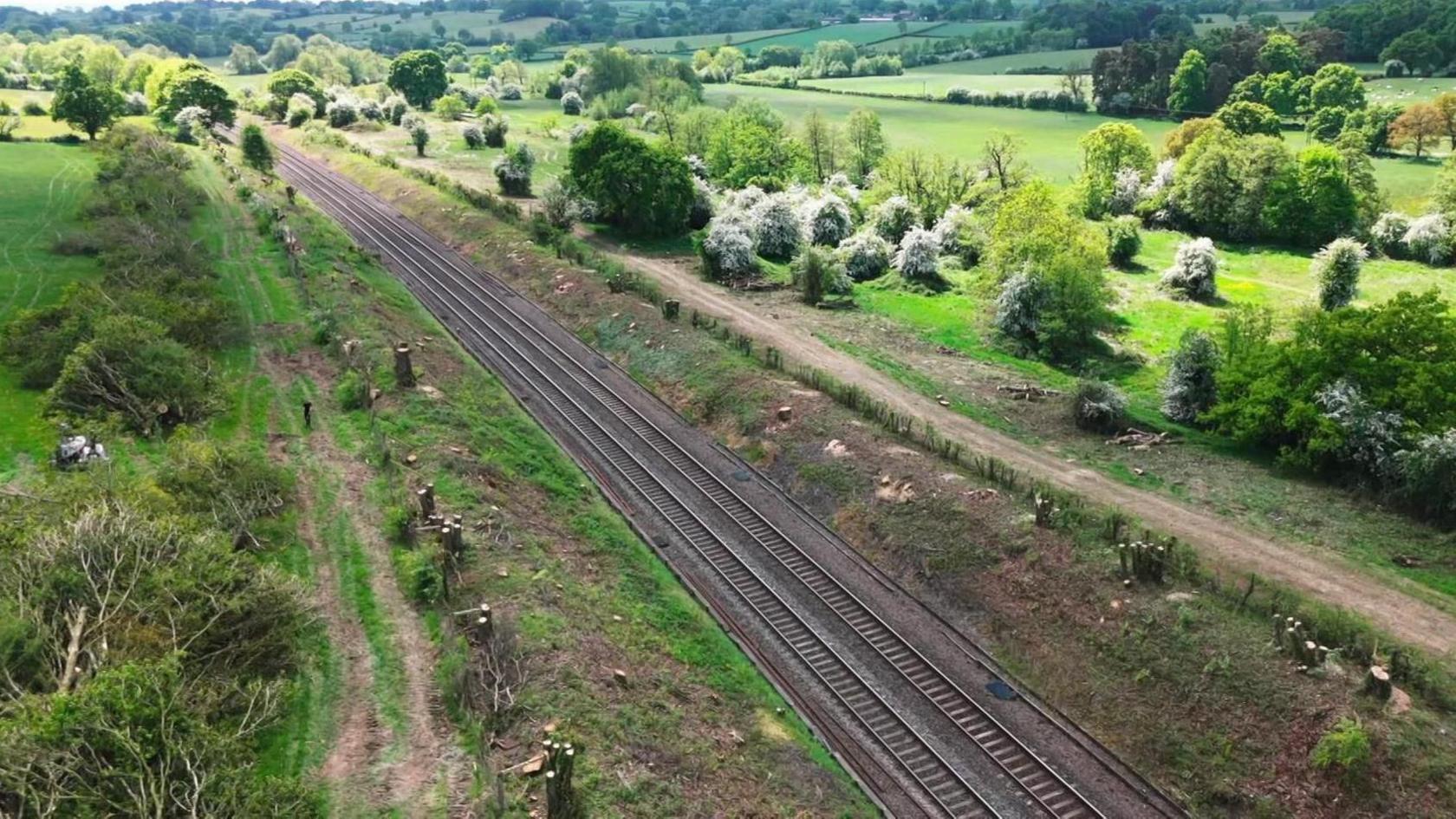 A drone image of tree stumps along a railway line.