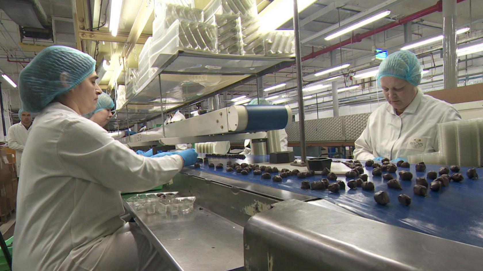 Workers in a chocolate factory wearing white aprons and blue hair nets producing chocolate truffles.