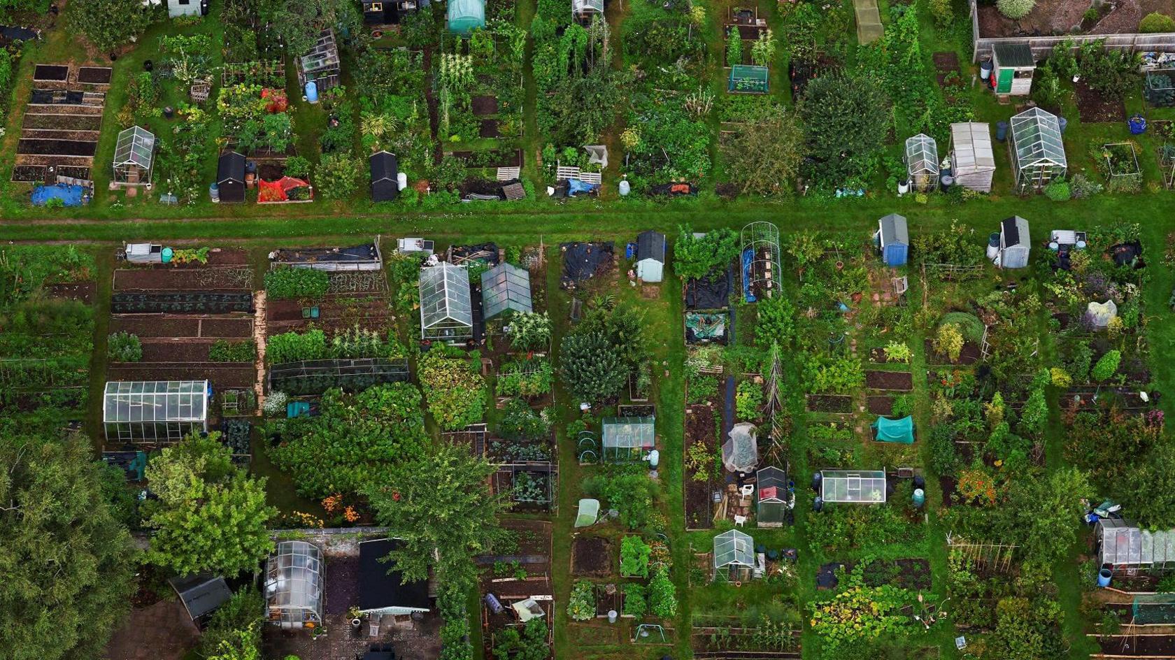 Allotments are seen from the air during a mass launch of hot air balloons at the annual Bristol International Balloon Fiesta, in Bristol