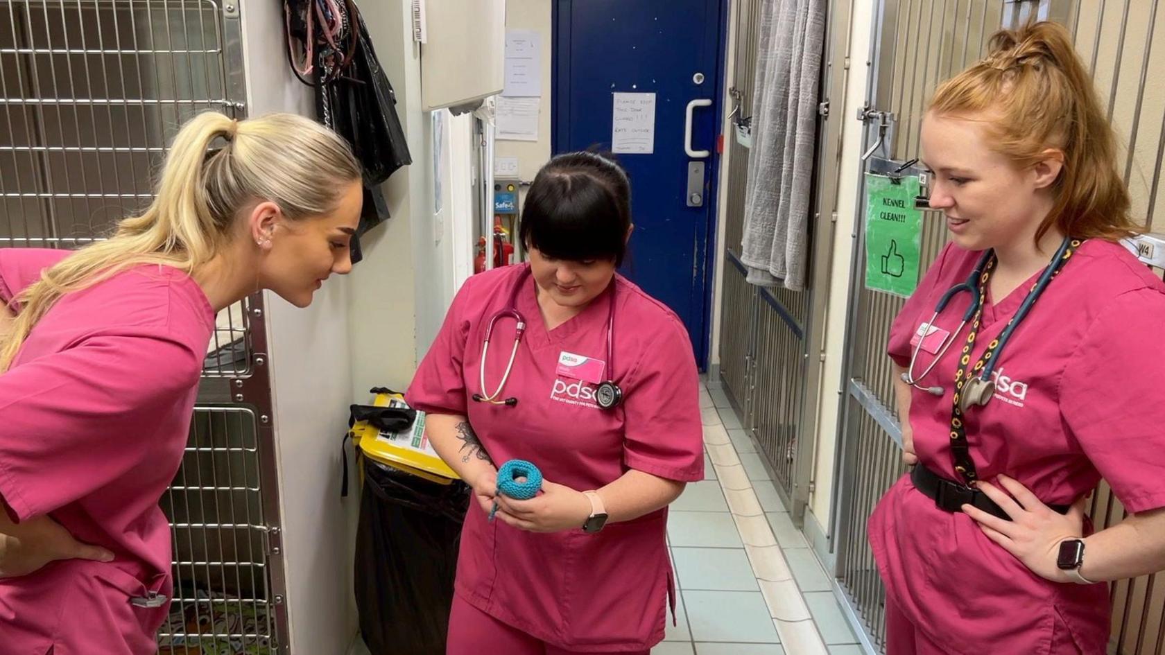 Three women wearing pink scrubs, one of them is holding a baby kitten wrapped in a blue blanket