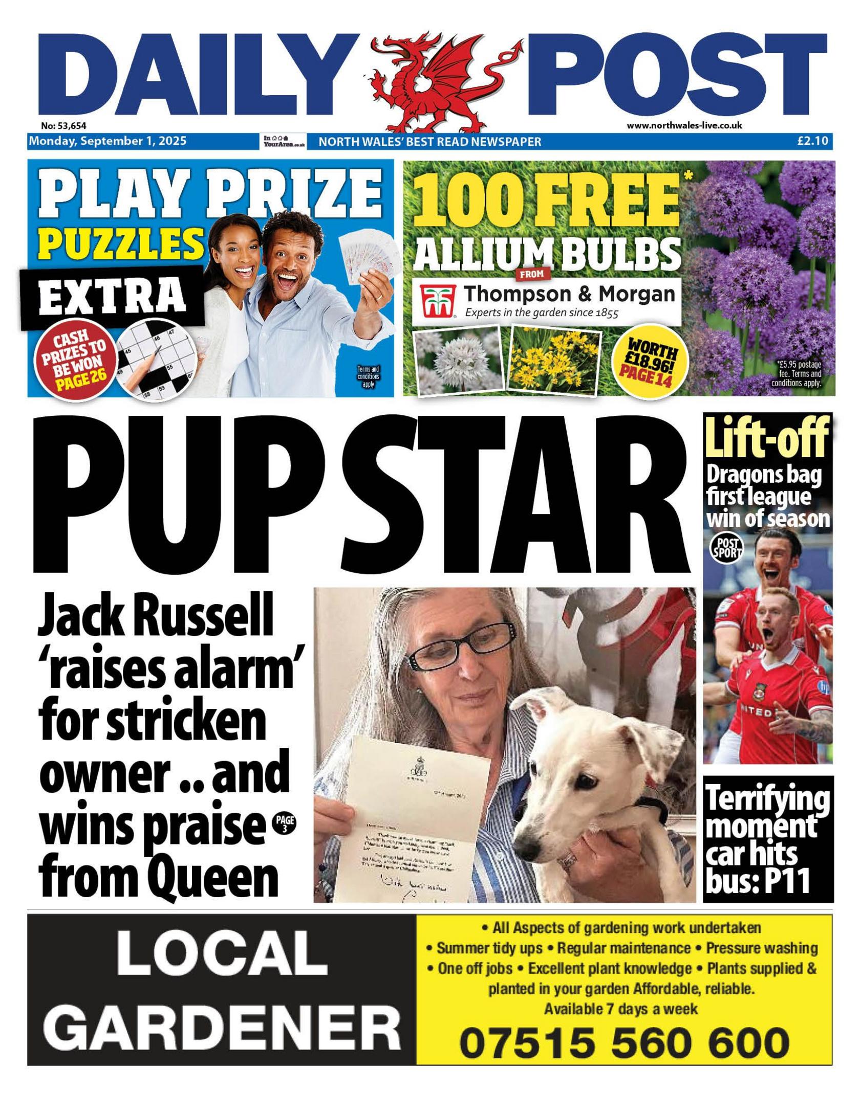 Main headline of Daily Post reads 'Pup star', with the sub headline: Jack Russell 'raises alarm' for stricken owner.. and wins praise from Queen. Next to it is a photo of a woman holding a dog. Other headlines read: Terrifying moment car hits bus, and Lift off: Dragons bag first league win of season. Above is an advert to play prize puzzles and 100 free allium bulbs. 