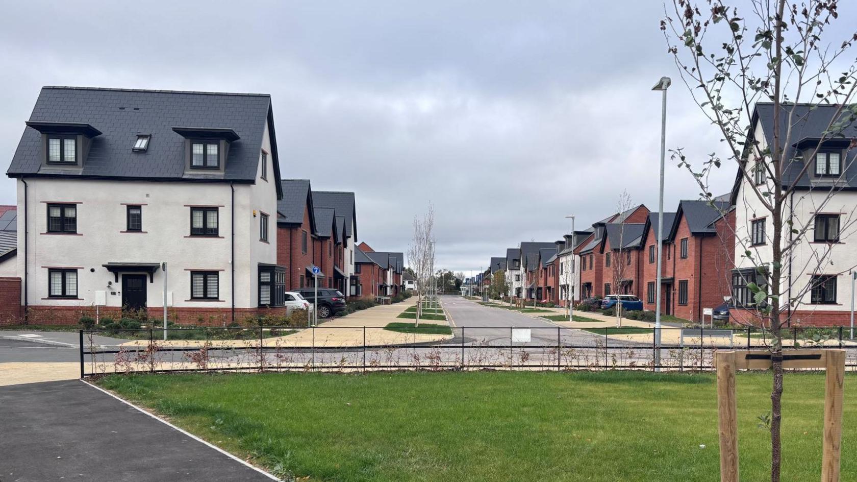 A road with a row of houses either side of it. There are tree saplings by the pavement and a lawn at the end of the road.