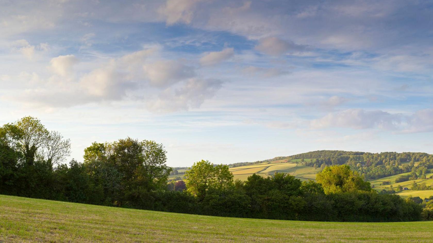 A wide Cotswold landscape. A row of trees on the edge of a green field sit in front of wooded hills, beneath a slightly cloudy blue sky.