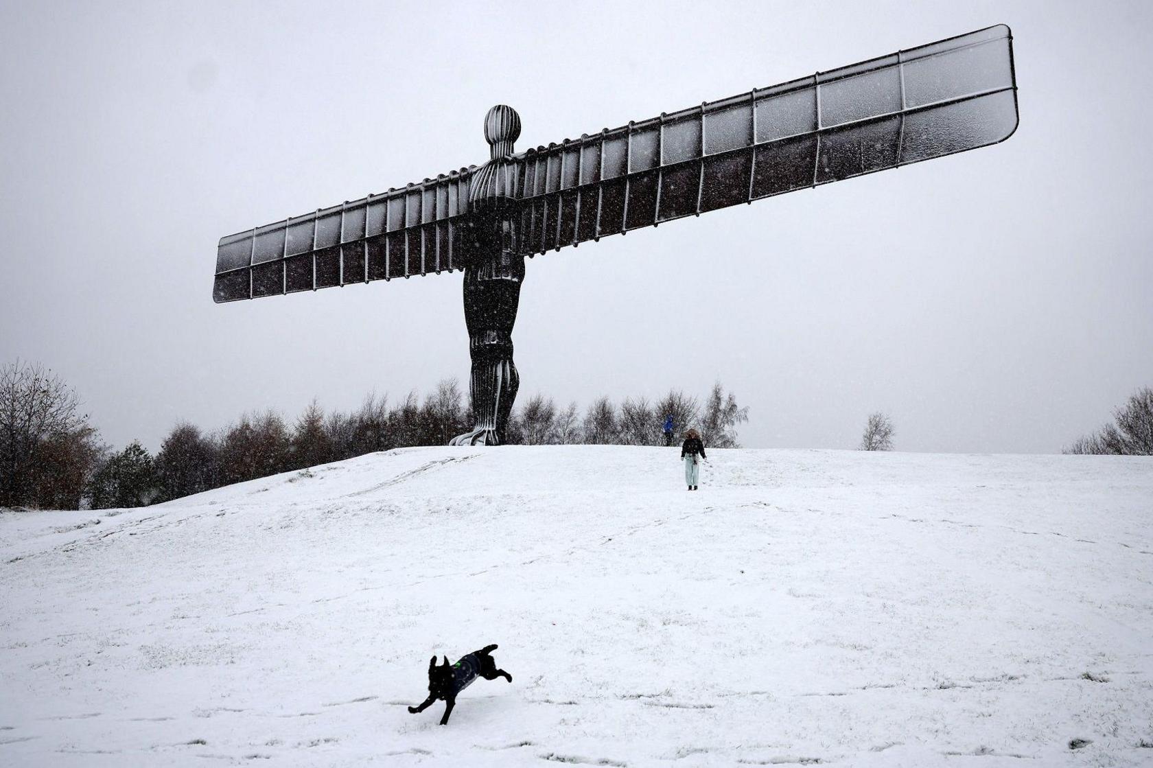 A black dog running in the snow at the foot of the Angel of the North sculpture. The Angel is dusted in snow.