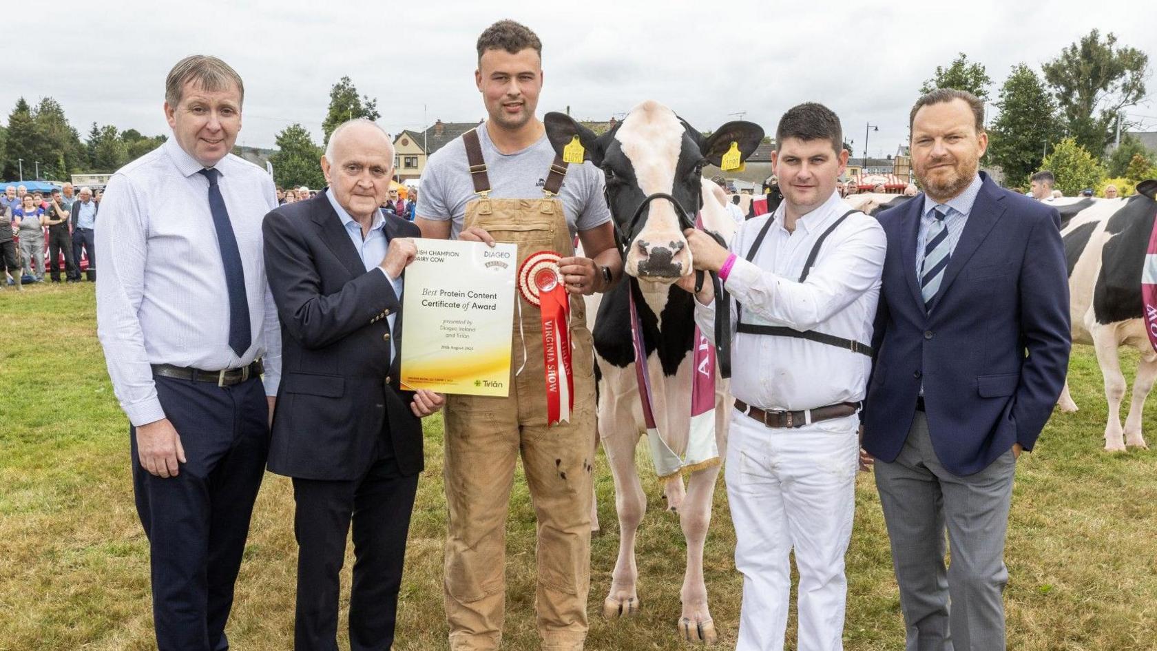 There are five men standing next to each other with the 'Best Protein' cow winner. From left to right; a man with dark hair, white shirt, navy tie and trousers and a belt. Next to him is a blad man with a black suit jacket and trousers with a blue shirt. Then there is Josh wearing brown dungarees and grey t-shirt as he holds a yellow certificate and red ribbon. Then there is the white and black cow winner. A man is holding it by its harness, he has dark brown hair and is dressed in a white shirt and trousers with a brown belt. Then at the end is a man with dark hair and facial hair with a navy blazer, striped tie, blue shirt and grey trousers.