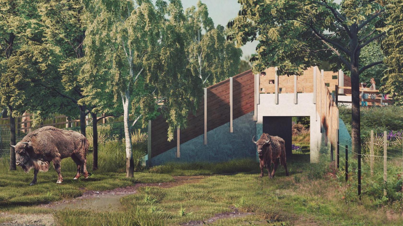 A CGI image of a wooden bridge on grassland with two brown bison walking below. The bridge and bison are surrounded by green trees