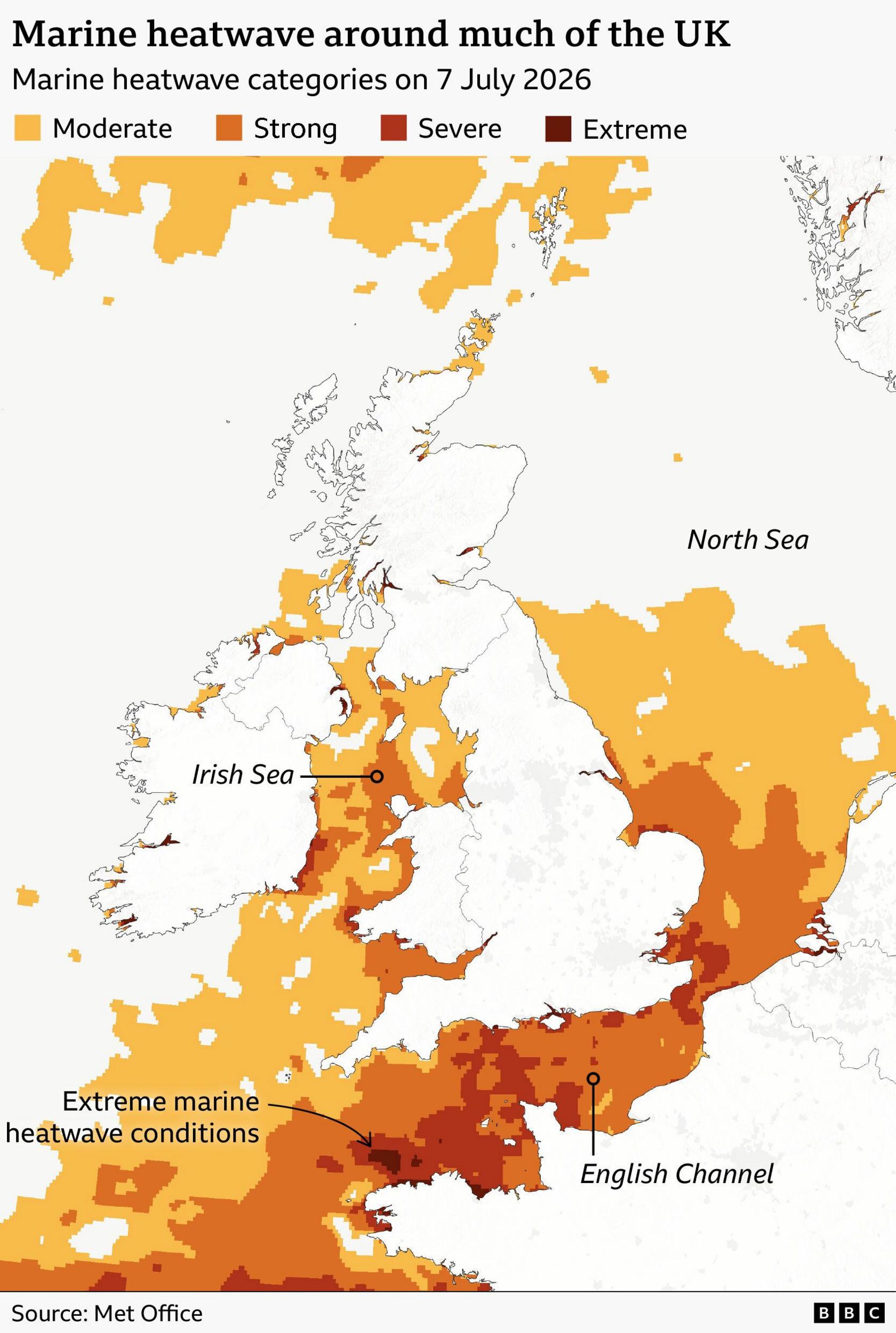 Map of seas around the UK, showing where is experiencing a marine heatwave. Almost all the waters off the coasts of England and Wales are shaded yellow, orange or red, showing there is a marine heatwave. The coasts of Wales and southern England are surrounded by orange, showing the heatwave is strong. Some areas off the south coast of England are shaded red, showing the heatwave is severe. A few pockets of ocean off the north coast of Brittany in France are shaded dark red, where the heatwave is extreme.