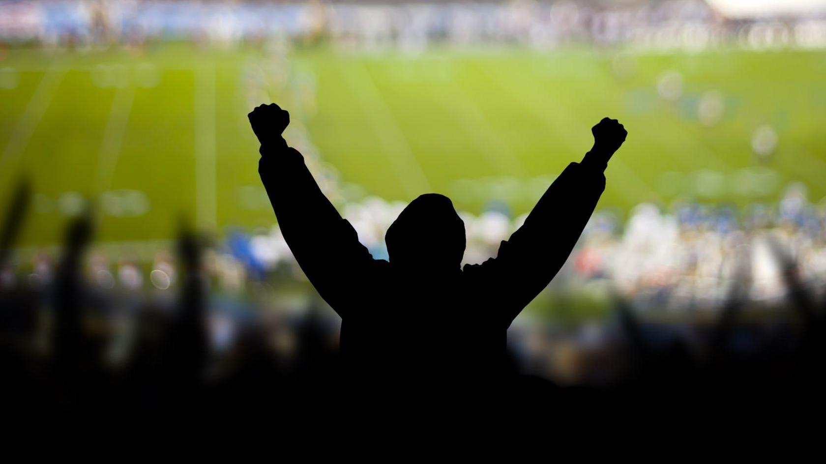 A football fan in a stadium