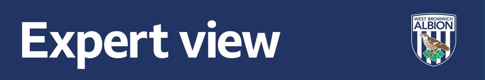 West Bromwich Albion Expert's View banner