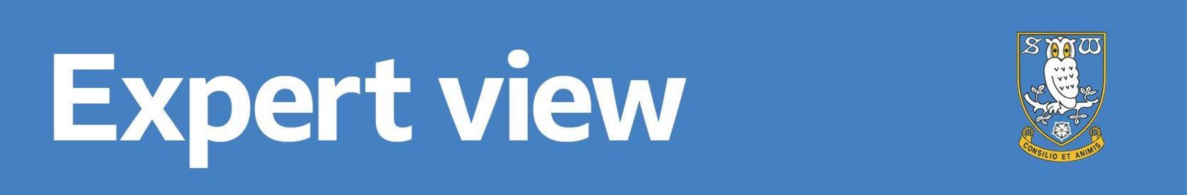 Expert view banner