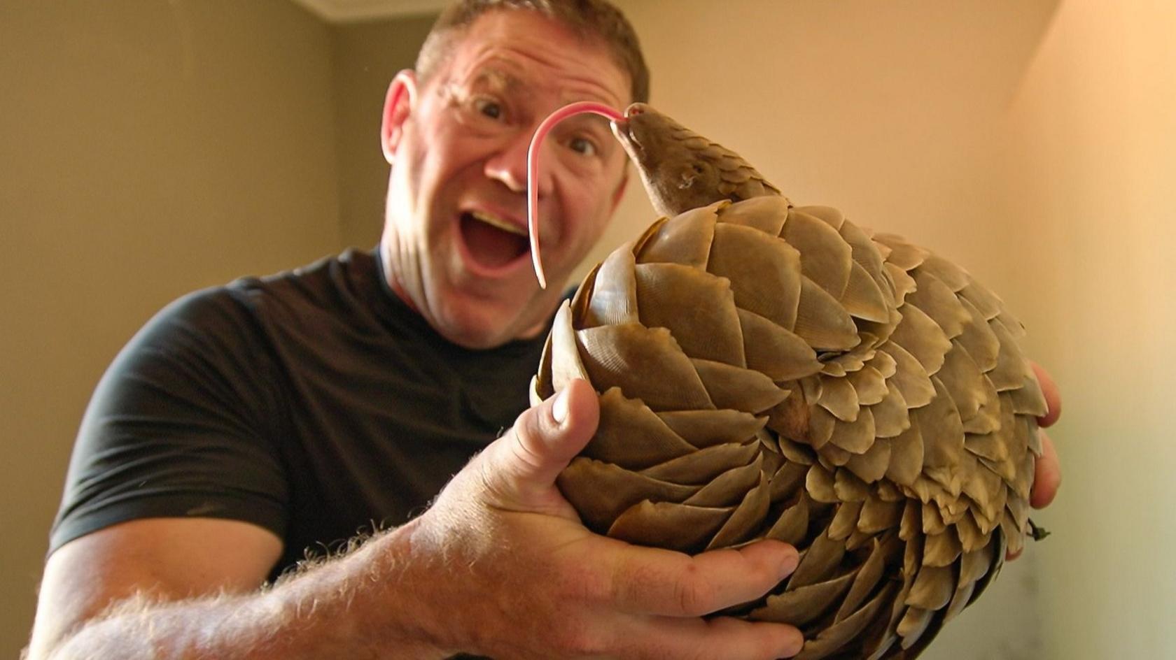 Steve with a pangolin