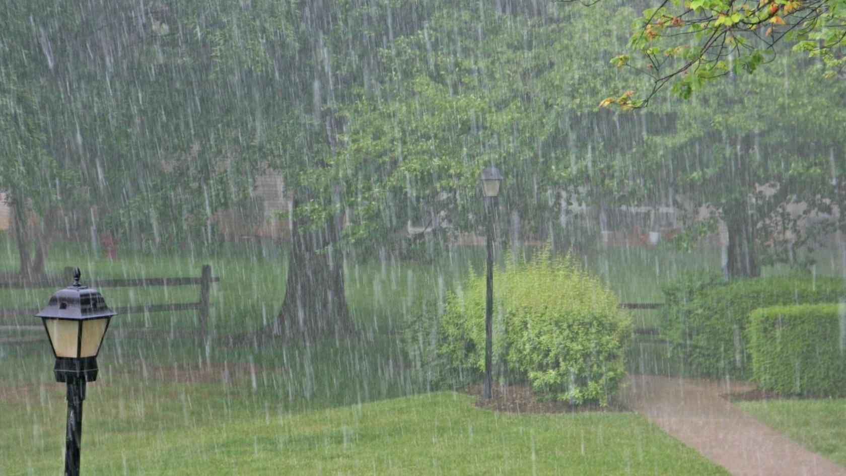 Rain falling in a park