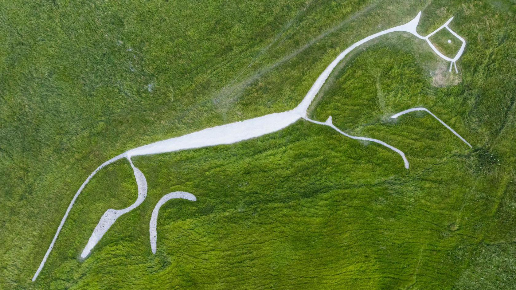 National Trust Uffington White Horse after a phase of refurbishment where erosion and bad weather have caused shrinkage of the Bronze Age chalk carving over the decades. The artwork measures 111-metres long from head to tail and depicts a white horse near the Oxfordshire village of Uffington.