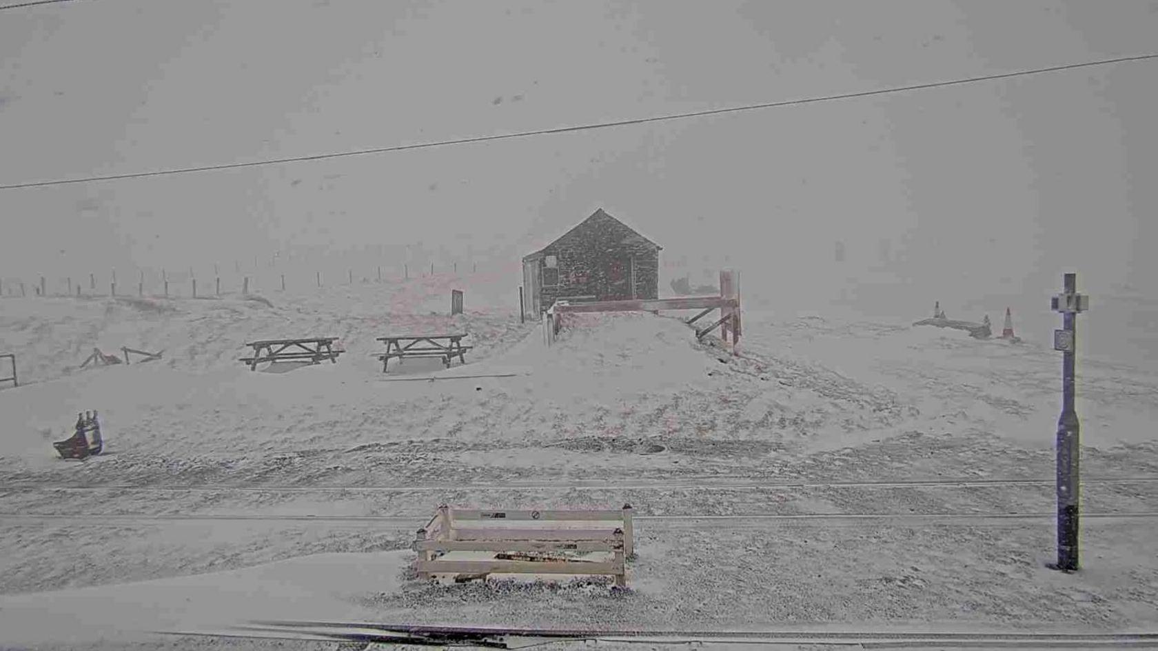 A screenshot of the view from a webcam, it shows white snow covering an area with a small hut, benches and a lamppost 