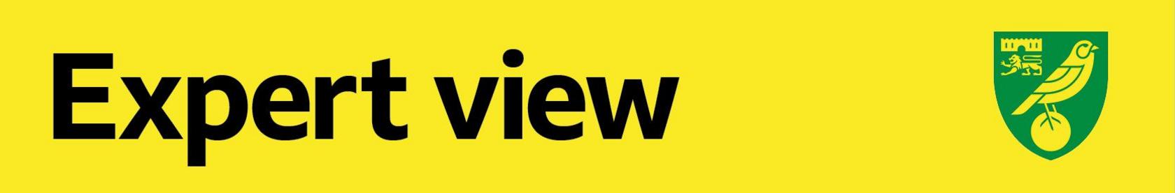 Norwich Expert View banner