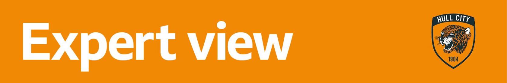 Expert view banner