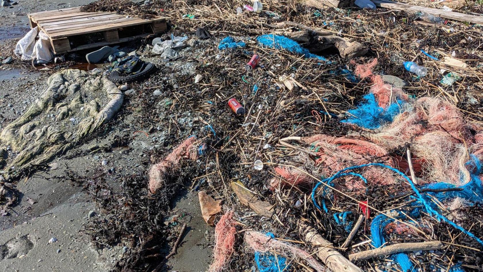 Image of a littered Ardglass beach. It includes a multitude of strings of blue rope, plastic bags, plastic bottles and cans, a grey pallet, plastic tyre wheel, red fish netting, tree branches on top of a grey sand beach.