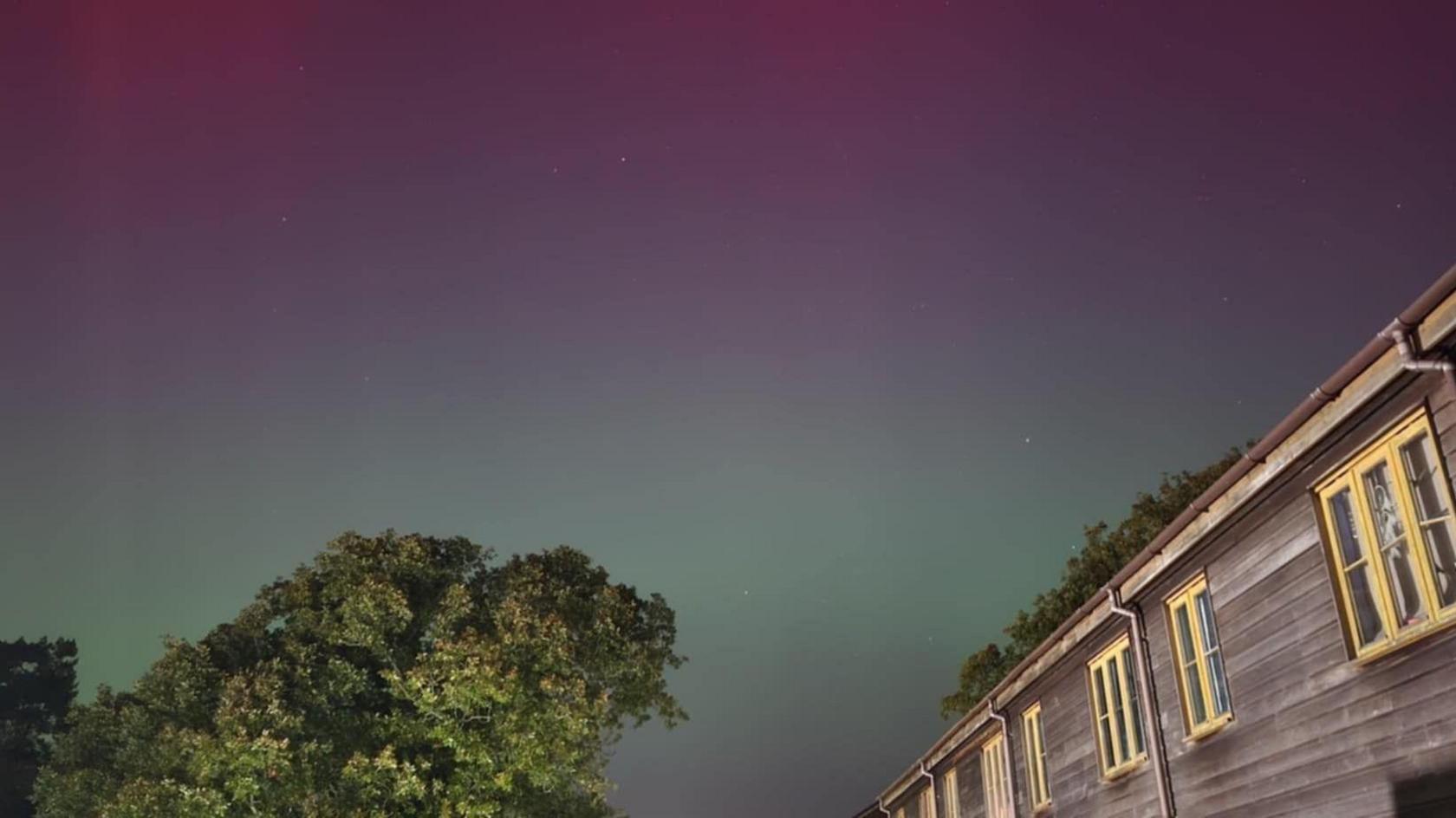 The sky is a purple and light blue colour. You can see a grey building to the bottom right of the screen and a green tree in the bottom left of the screen.