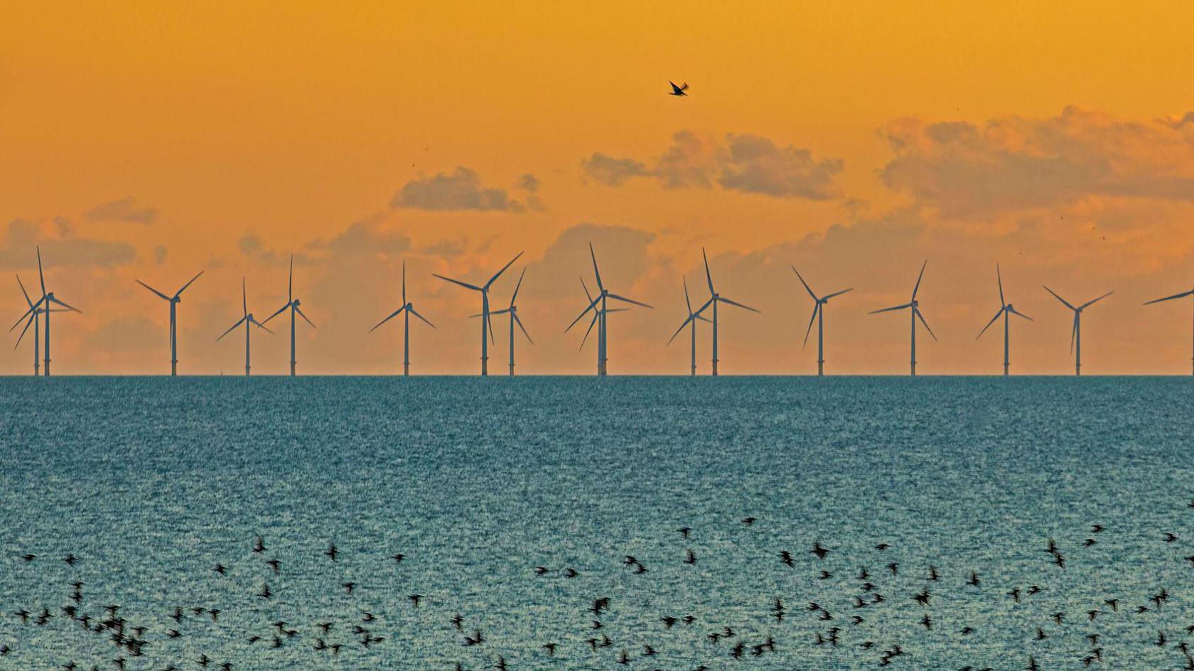 A wind farm out at sea during a sunset.
