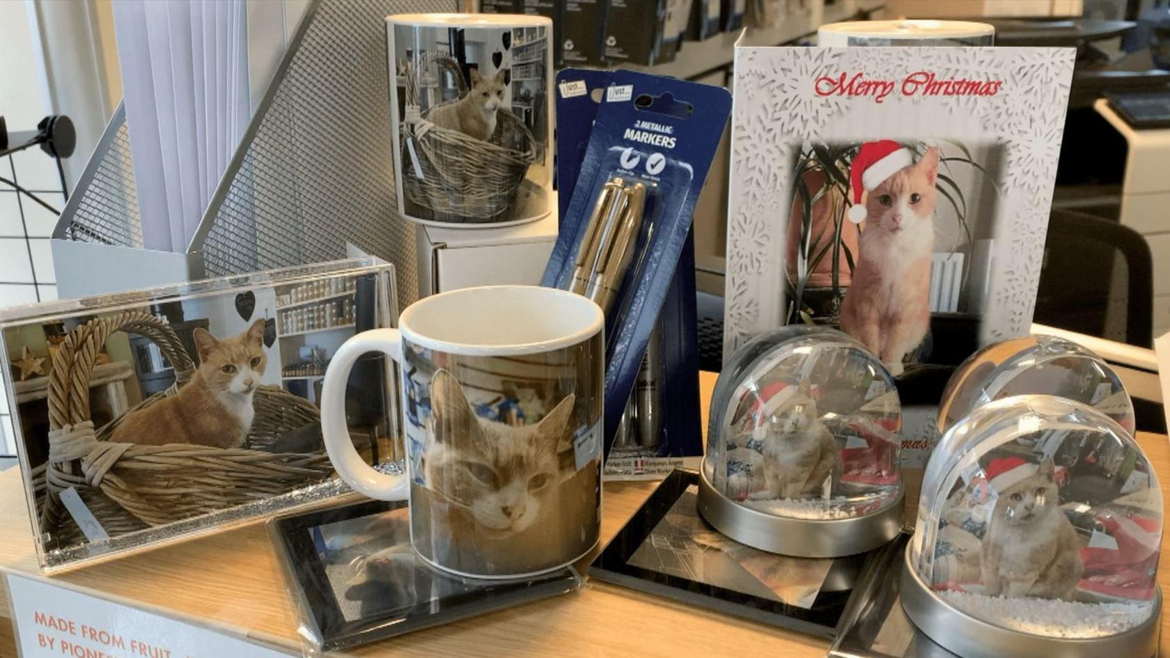 A selection of gifts with images of Thomas the cat printed on them, including snow globes, a mug and a paperweight.