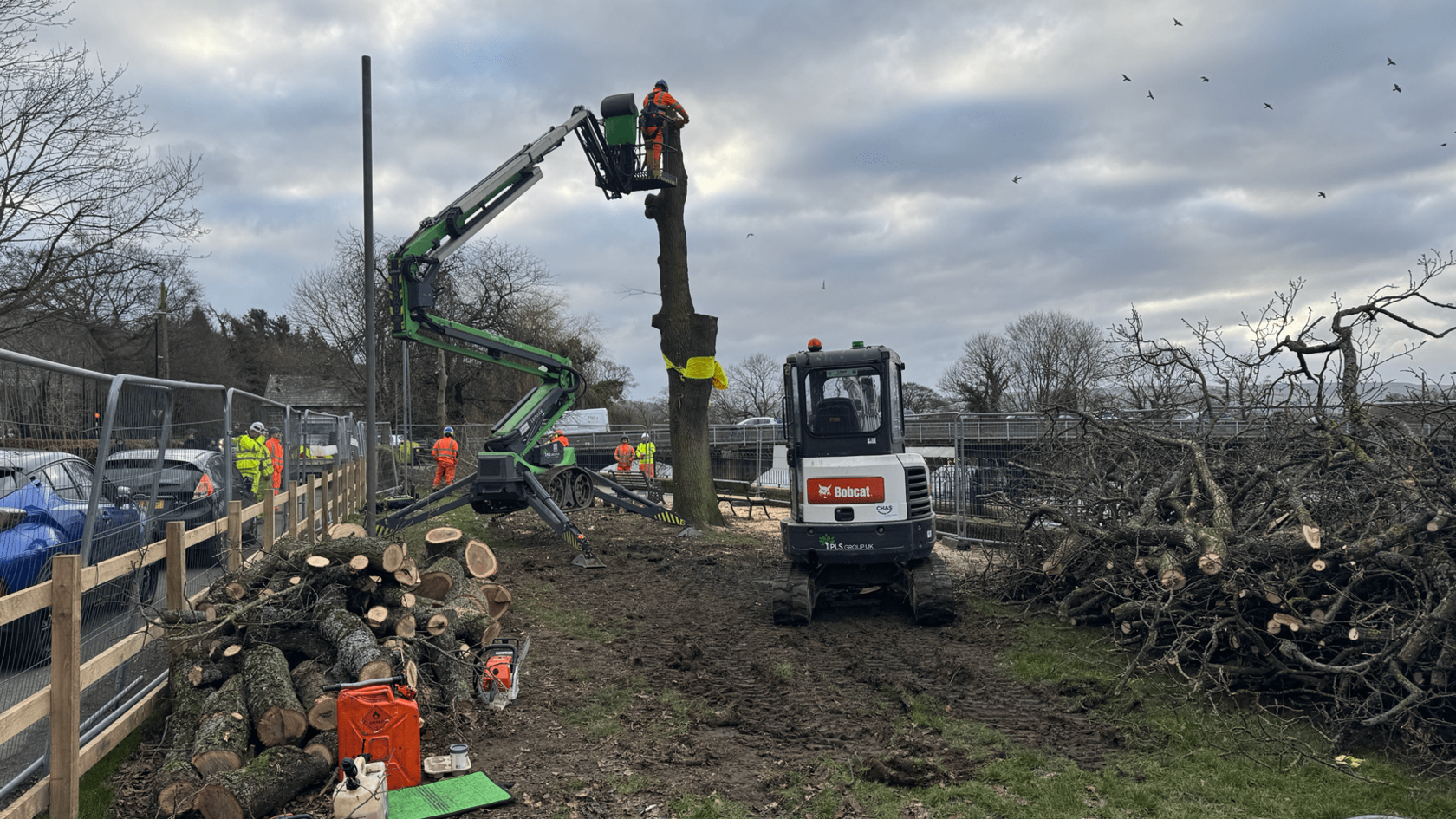 A man on a crane-like machine is hoisted towards the top of a tree stump. The trees chopped branches lie to the sides.