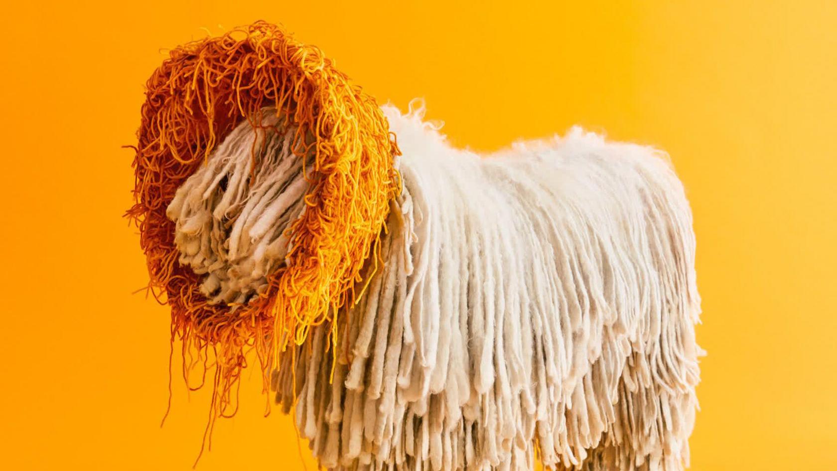 A dog with white fur that looks like wool is wearing a cone made of orange wool