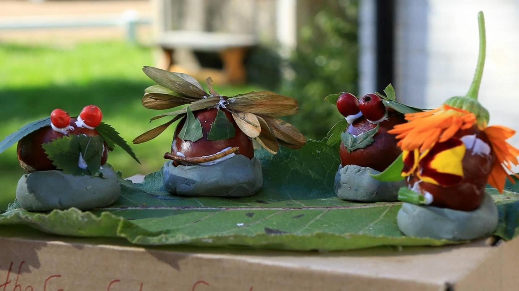 Four conkers are decorated in fancy dress costumes made from leaves, berries and a marigold flower