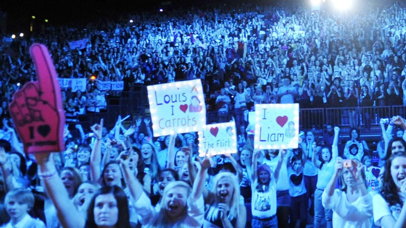 The crowd at One Direction's concert at the Bournemouth International Centre 