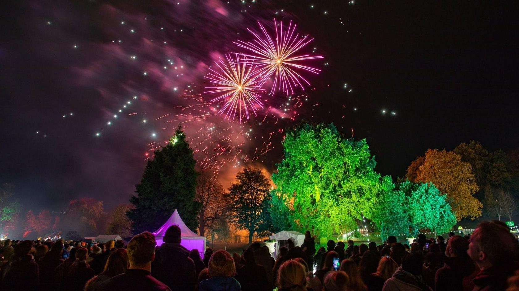 Purple fireworks burst above a tree lit up with green and blue lights.