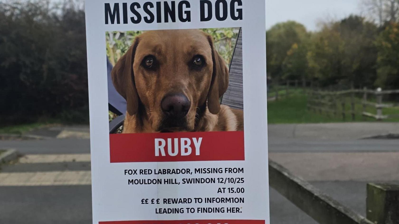 A4 poster which reads 'Missing Dog' 'Ruby' with details about when she vanished.