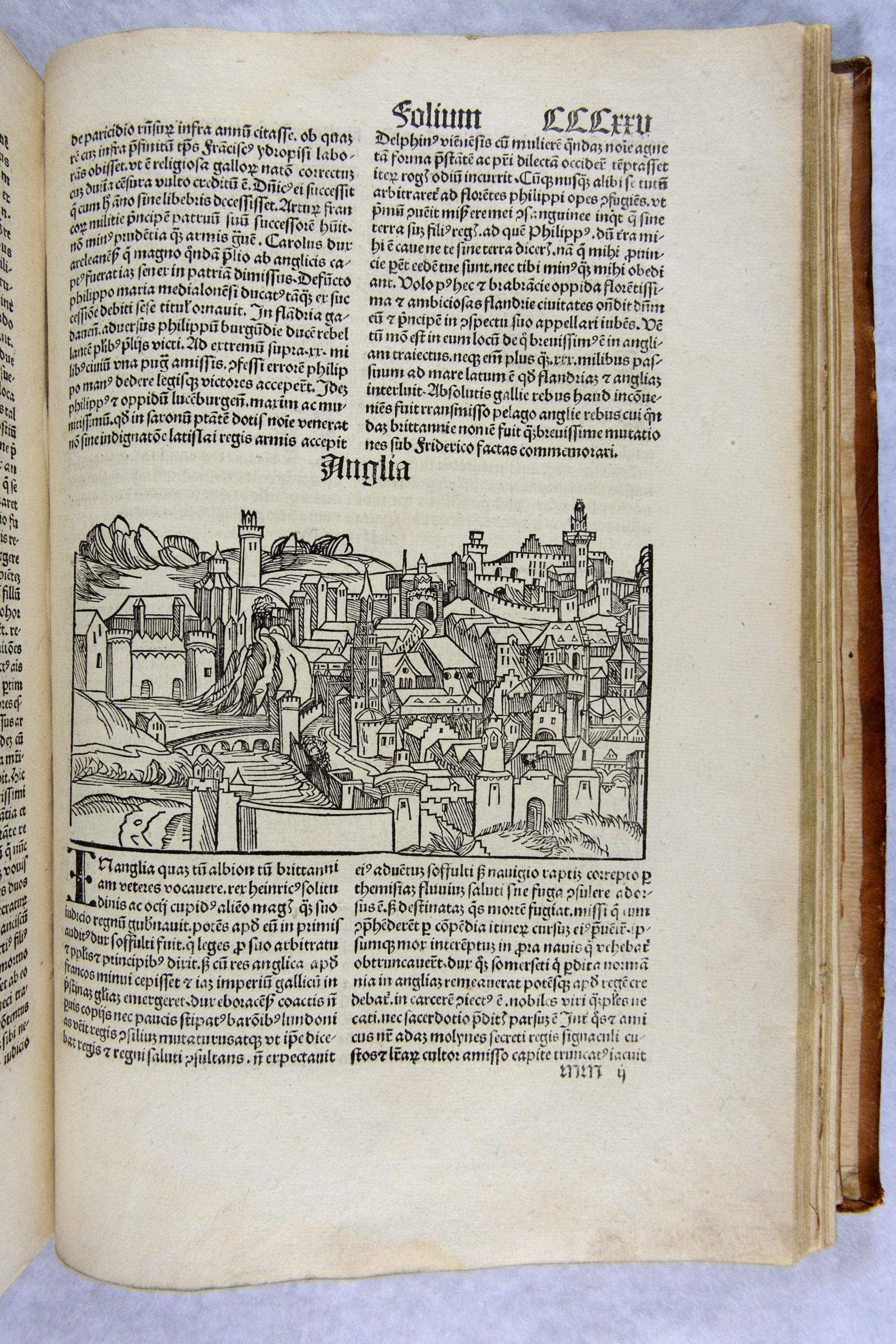 A page in the Nuremberg Chronicle with an illustration of a town across the centre and two columns of writing above and below. 