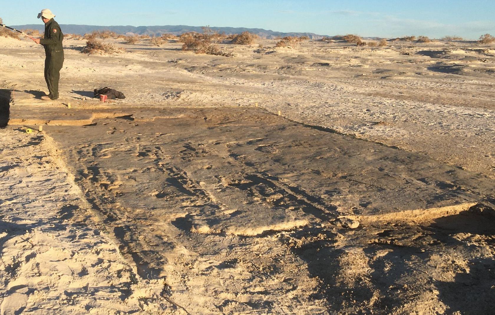 Drag-marks preserved in dolomite. 