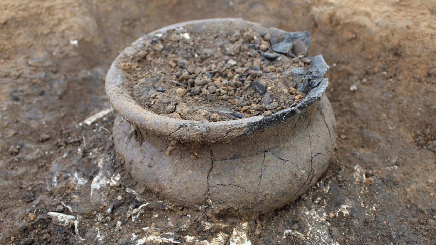 The image shows a recent archaeological finding of a cremation urn. The urn is covered in dirt and is covered in cracks with parts of the urn chipped away. The urn is full of dirt and remains.