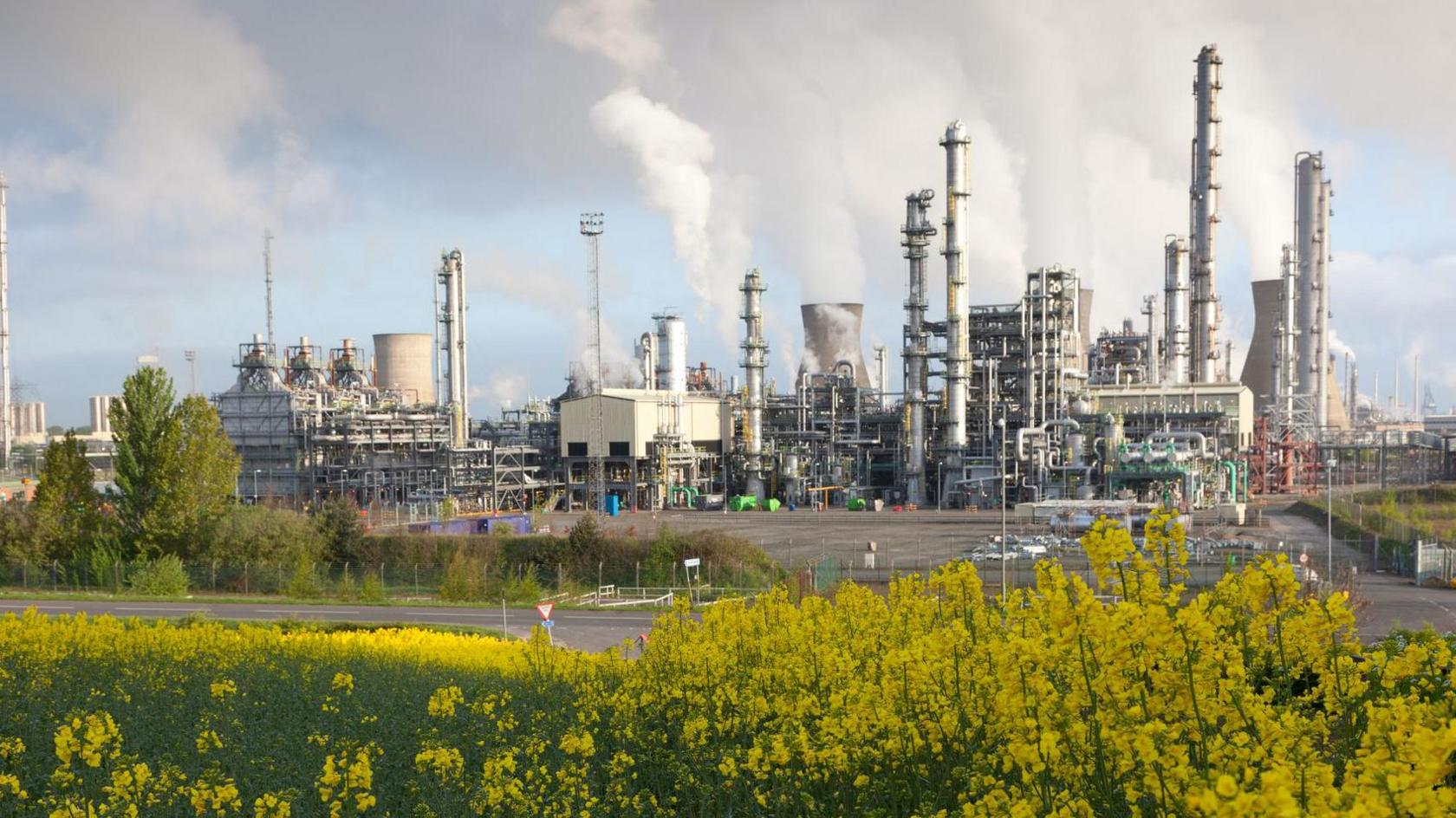 Grangemouth Petrochemical Plant with its towers and smoking chimneys sits in front of a yellow flower field.